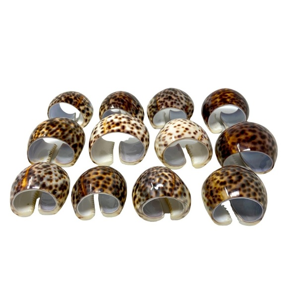 Tiger Cowrie Shell | Brown, White | Napkin Rings | Set Of 4 | Size 2” - Picture 9 of 10